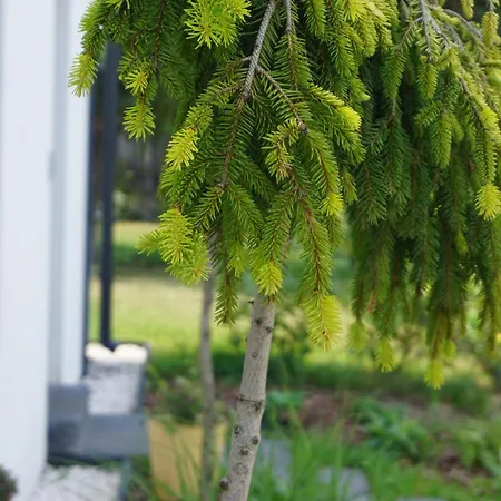 La Jura Semesterbostad